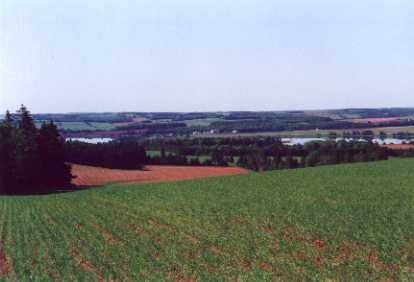 Scenery from Top of the Hill