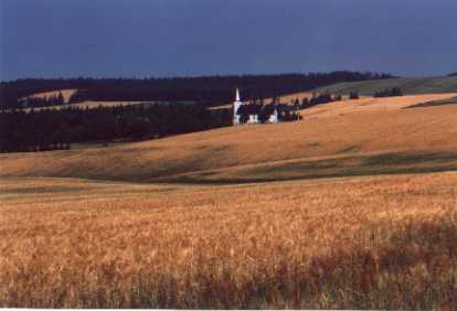 Scenery from Top of the Hill